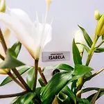 Isabela Prague With Front 公寓
